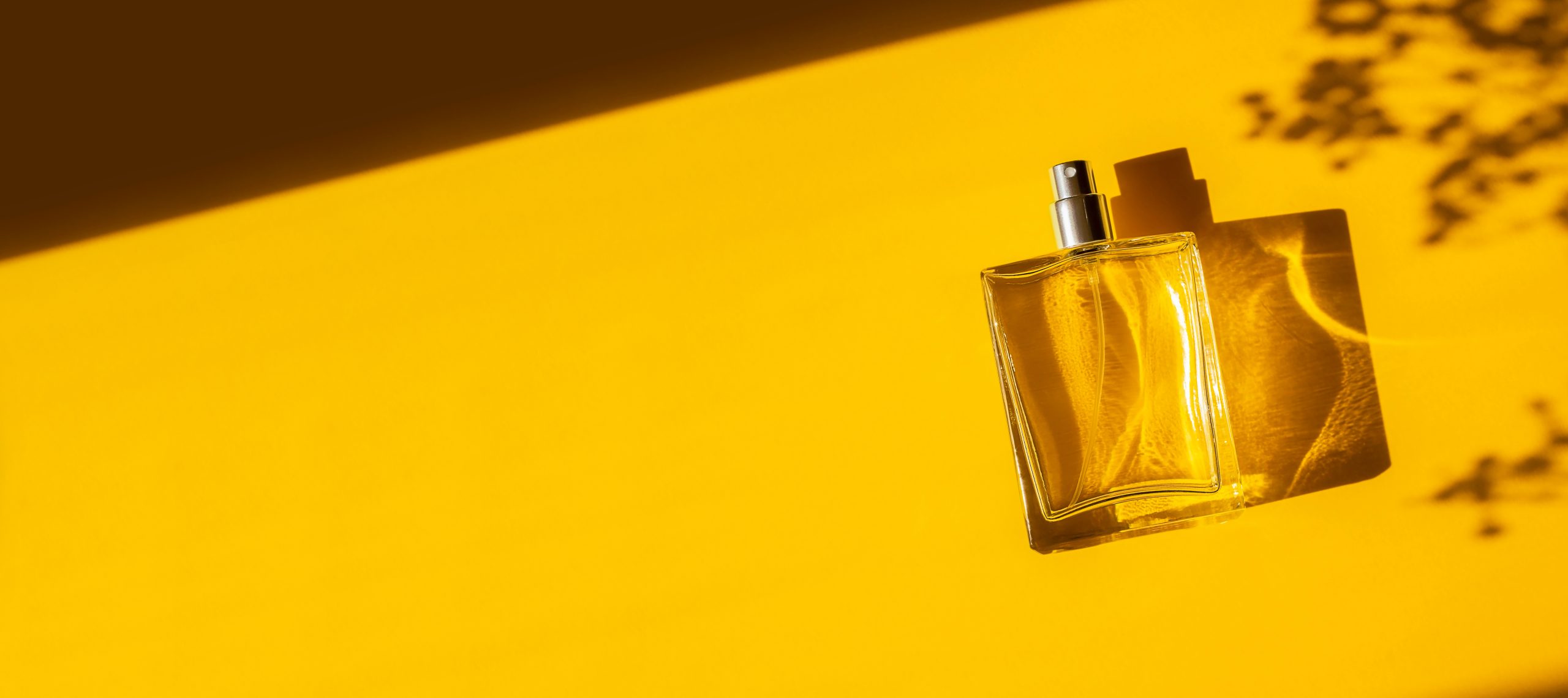 Solar nước hoa: Xu hướng perfume thơm mát đầy sáng tạo năm 2024